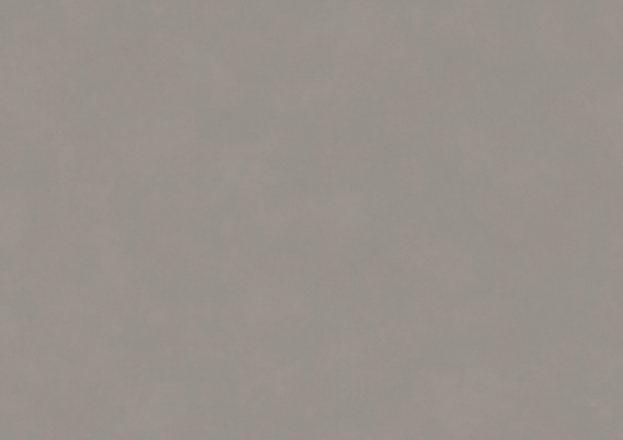 Dilatatieprofiel Zelfklevend 38mm Minimal Lichtgrijs - 200cm
