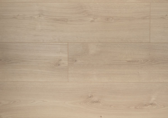 Douwes Dekker Extra Lange Plank Jasmijn - 8mm Laminaat