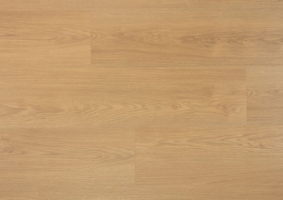 Douwes Dekker Extra Lange Plank Kaviaar - 8mm Laminaat